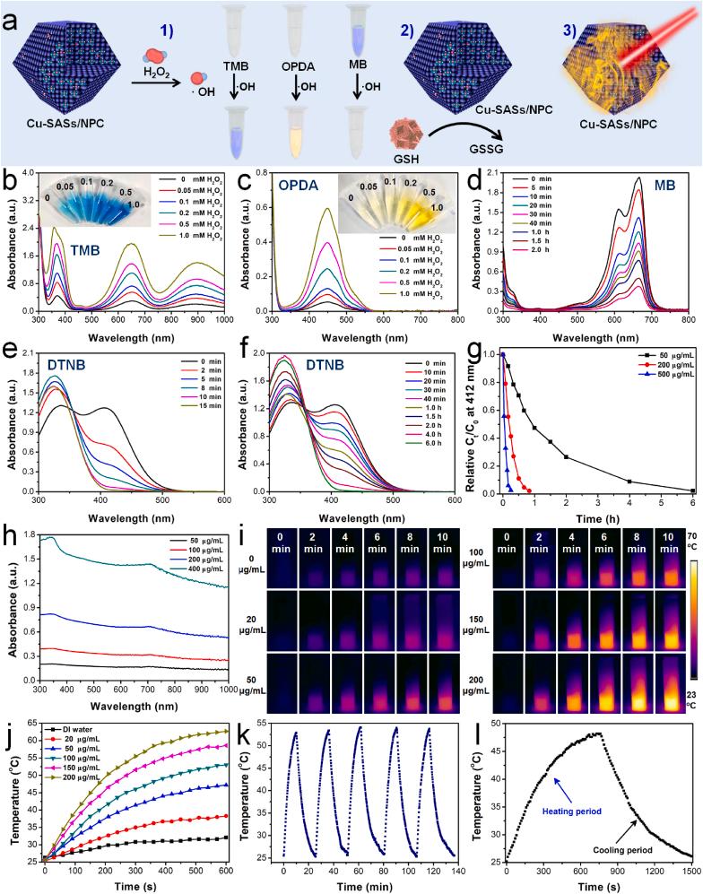 https://cdn.ncbi.nlm.nih.gov/pmc/blobs/05a1/8111038/cff314c59ad9/gr3.jpg