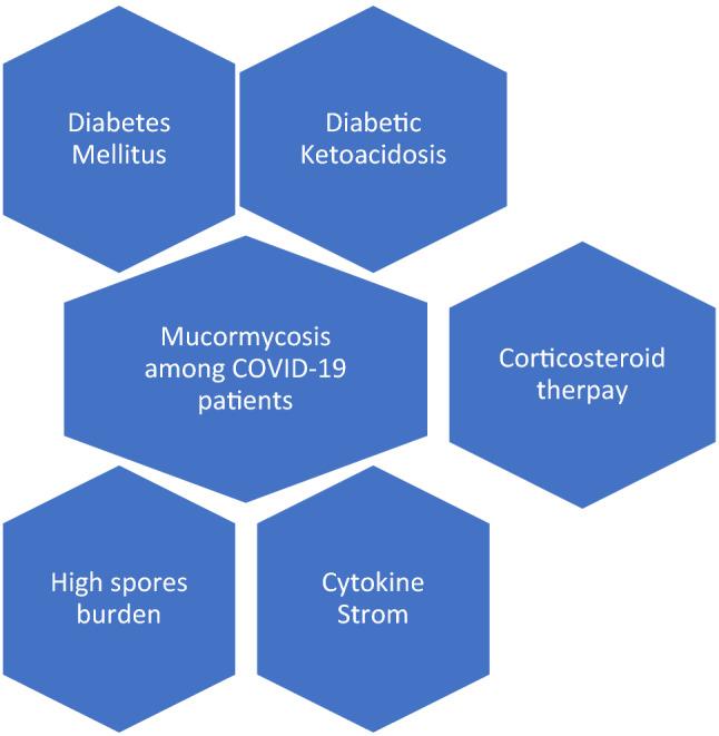 https://cdn.ncbi.nlm.nih.gov/pmc/blobs/05a3/8302461/b4a1a6e0de7e/15010_2021_1670_Fig1_HTML.jpg