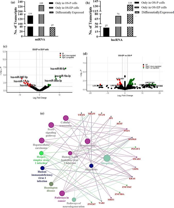 https://cdn.ncbi.nlm.nih.gov/pmc/blobs/05a3/8777531/2eda11fed16e/12672_2021_441_Fig3_HTML.jpg
