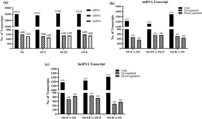 https://cdn.ncbi.nlm.nih.gov/pmc/blobs/05a3/8777531/80df7f086c1b/12672_2021_441_Fig1_HTML.jpg