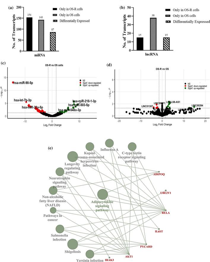 https://cdn.ncbi.nlm.nih.gov/pmc/blobs/05a3/8777531/9b3d890d3b85/12672_2021_441_Fig4_HTML.jpg