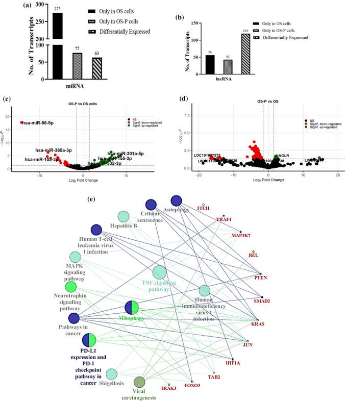 https://cdn.ncbi.nlm.nih.gov/pmc/blobs/05a3/8777531/fa1f63e4ad1e/12672_2021_441_Fig2_HTML.jpg