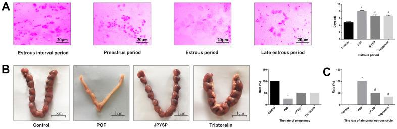 https://cdn.ncbi.nlm.nih.gov/pmc/blobs/05a5/9648799/e30b741f4904/aging-14-204320-g002.jpg