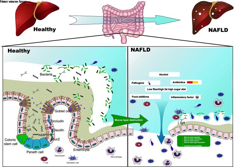 https://cdn.ncbi.nlm.nih.gov/pmc/blobs/05a8/10278733/4582ea06142d/cm9-136-1390-g001.jpg