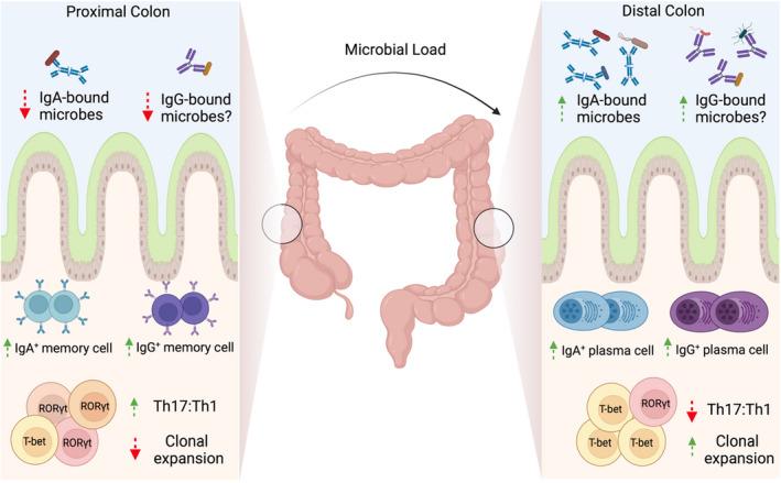https://cdn.ncbi.nlm.nih.gov/pmc/blobs/05a8/9285483/8e26c48974bf/SJI-95-0-g004.jpg