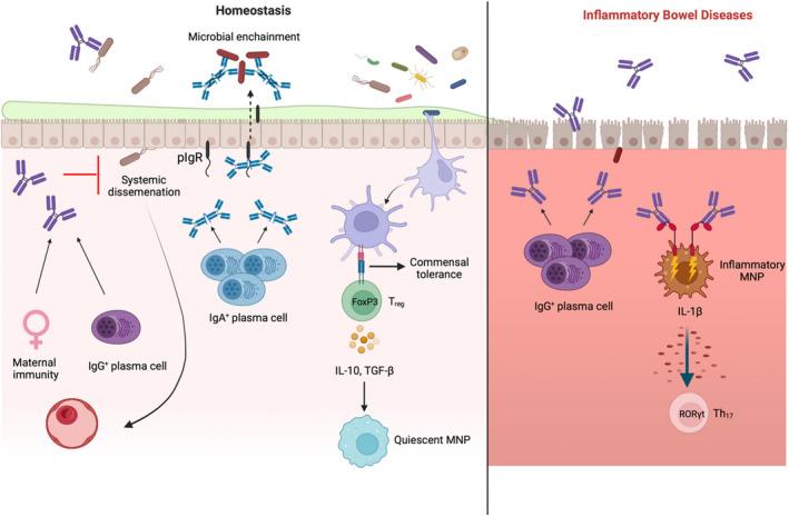 https://cdn.ncbi.nlm.nih.gov/pmc/blobs/05a8/9285483/d3597304e690/SJI-95-0-g003.jpg