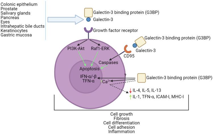 https://cdn.ncbi.nlm.nih.gov/pmc/blobs/05a9/10011345/829f4539825f/11033_2022_8207_Fig3_HTML.jpg