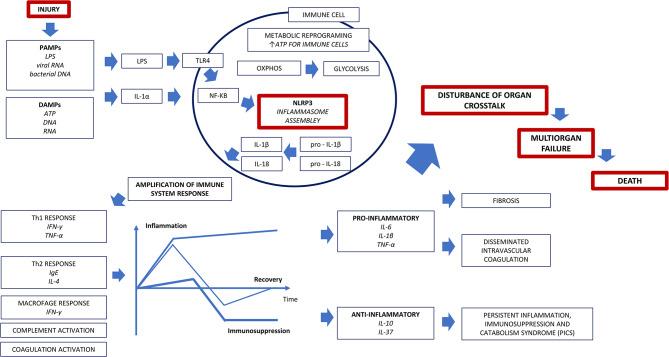 https://cdn.ncbi.nlm.nih.gov/pmc/blobs/05a9/11413314/12dd52603cb0/13613_2024_1377_Fig1_HTML.jpg