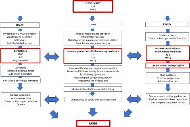 https://cdn.ncbi.nlm.nih.gov/pmc/blobs/05a9/11413314/9a4a97236d4e/13613_2024_1377_Fig2_HTML.jpg