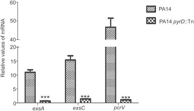 https://cdn.ncbi.nlm.nih.gov/pmc/blobs/05a9/4707474/cb915097cd29/srep19141-f4.jpg