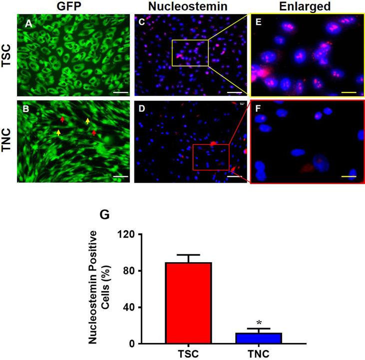 https://cdn.ncbi.nlm.nih.gov/pmc/blobs/05a9/7771689/3f427ca46aa6/pone.0242640.g001.jpg