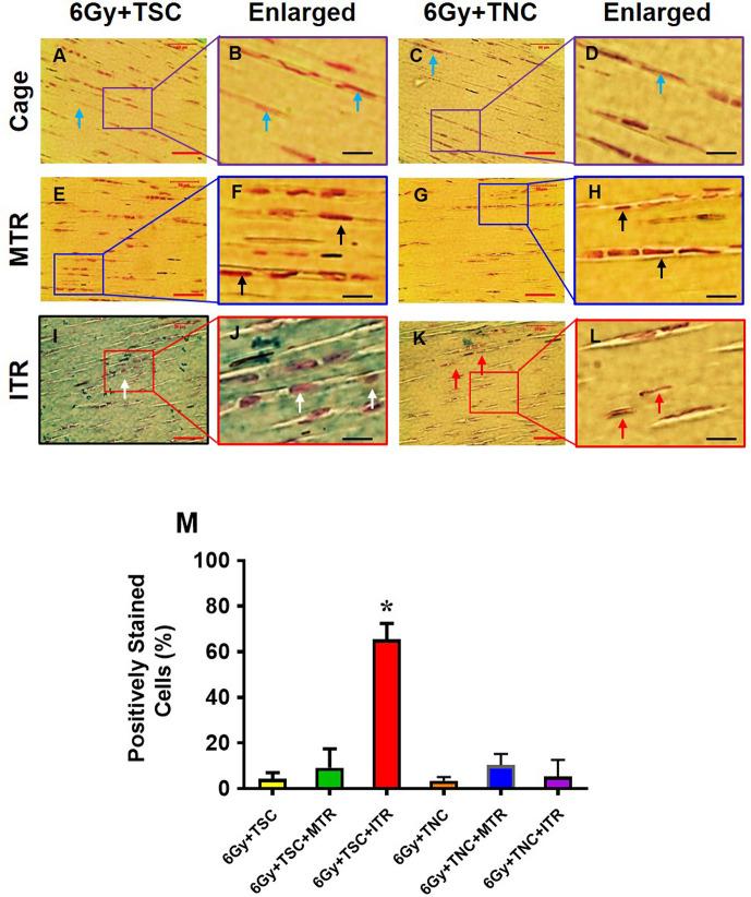 https://cdn.ncbi.nlm.nih.gov/pmc/blobs/05a9/7771689/bfa83c611f2f/pone.0242640.g005.jpg