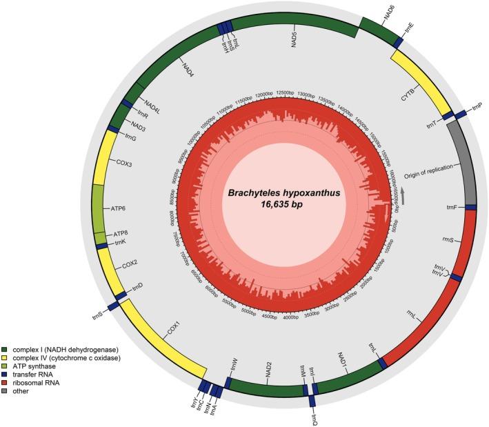 https://cdn.ncbi.nlm.nih.gov/pmc/blobs/05ac/12365342/374695bbc630/ECE3-15-e71356-g002.jpg