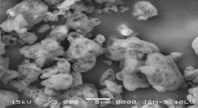 https://cdn.ncbi.nlm.nih.gov/pmc/blobs/05ad/7032187/89223a887a56/ajps461-fig-0002.jpg