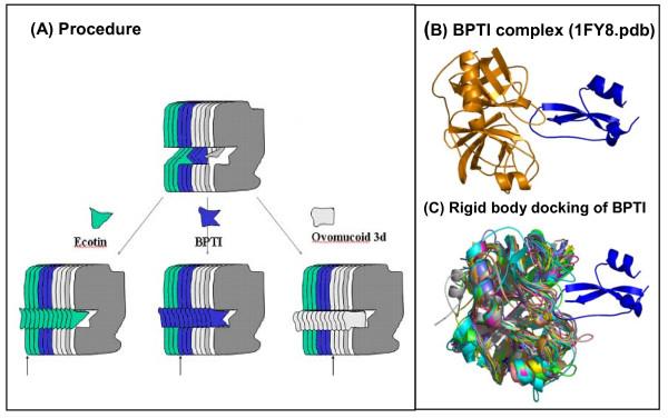 https://cdn.ncbi.nlm.nih.gov/pmc/blobs/05ae/2974730/7a1643e82cb5/1472-6807-10-36-8.jpg