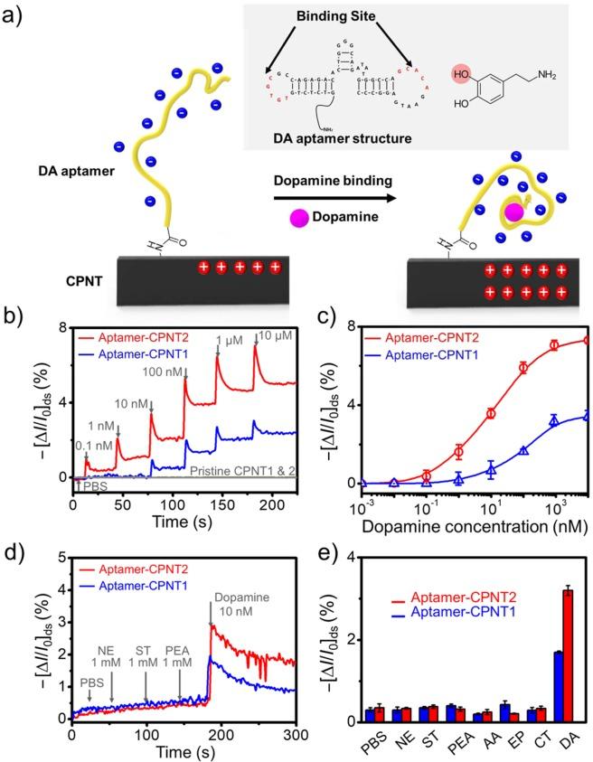 https://cdn.ncbi.nlm.nih.gov/pmc/blobs/05ae/7048782/aaa42163ce64/41598_2020_60715_Fig6_HTML.jpg
