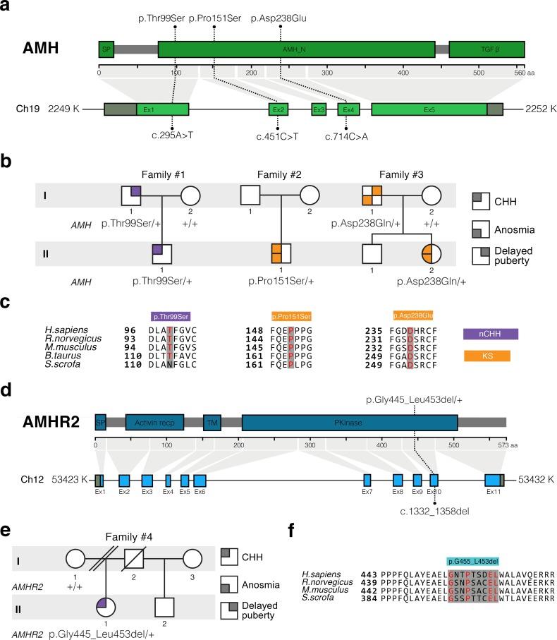 https://cdn.ncbi.nlm.nih.gov/pmc/blobs/05af/6620045/02d8f374bbd7/elife-47198-fig6.jpg