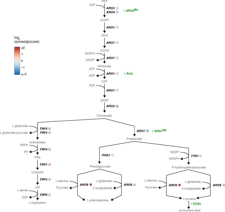 https://cdn.ncbi.nlm.nih.gov/pmc/blobs/05af/6833135/e485dbe7a975/12934_2019_1244_Fig4_HTML.jpg