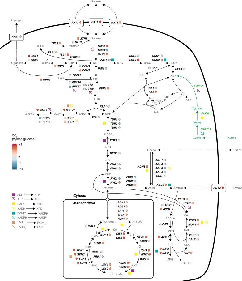https://cdn.ncbi.nlm.nih.gov/pmc/blobs/05af/6833135/ec37ae648070/12934_2019_1244_Fig3_HTML.jpg