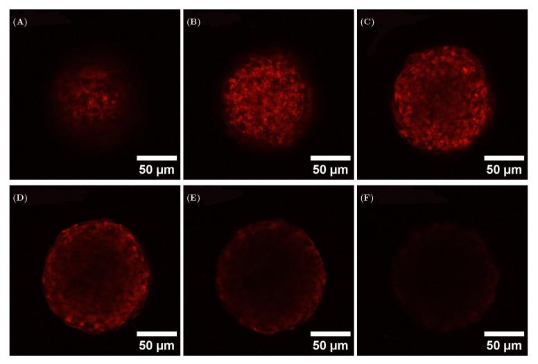 https://cdn.ncbi.nlm.nih.gov/pmc/blobs/05b0/12347893/2a0e9eff260c/materials-18-03538-g006.jpg