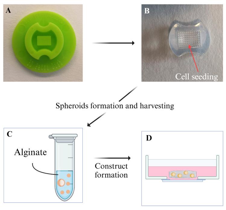https://cdn.ncbi.nlm.nih.gov/pmc/blobs/05b0/12347893/dcdef77a8eb2/materials-18-03538-g001.jpg