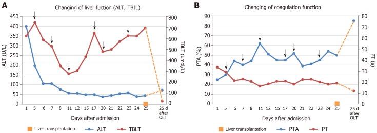 https://cdn.ncbi.nlm.nih.gov/pmc/blobs/05b2/6658378/8f95a51025b1/WJCC-7-1717-g002.jpg