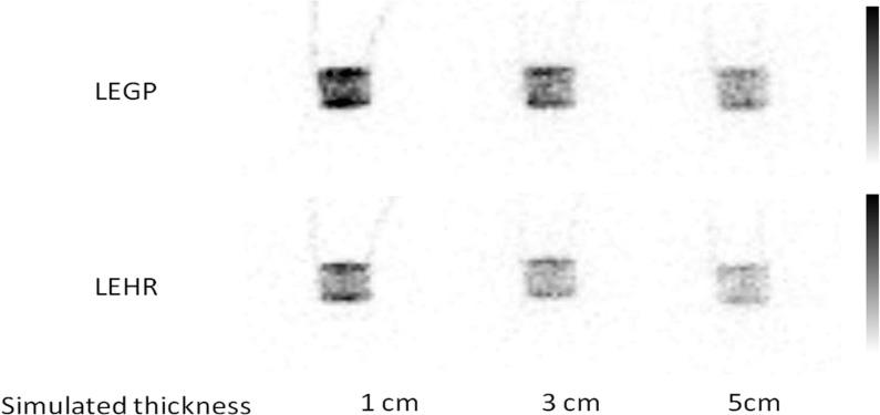 https://cdn.ncbi.nlm.nih.gov/pmc/blobs/05b4/6352048/653e3faecd9c/aojnmb-7-038-g007.jpg