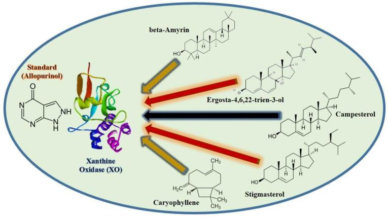 https://cdn.ncbi.nlm.nih.gov/pmc/blobs/05b4/9501585/28a92eb2d01f/molecules-27-05849-g004.jpg