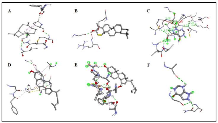 https://cdn.ncbi.nlm.nih.gov/pmc/blobs/05b4/9501585/4423ff69cbc4/molecules-27-05849-g006.jpg