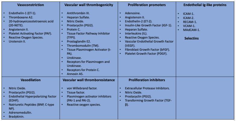 https://cdn.ncbi.nlm.nih.gov/pmc/blobs/05b6/11353271/eea49aa31da5/diagnostics-14-01722-g001.jpg