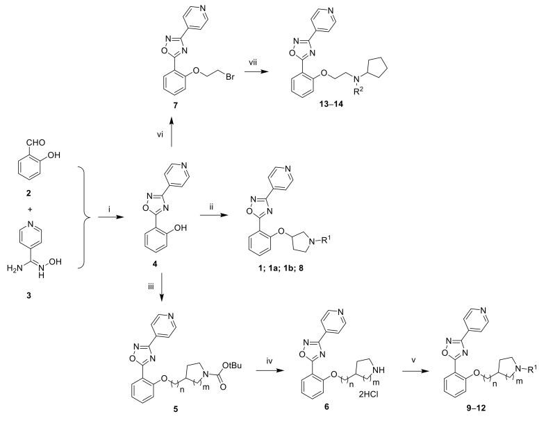 https://cdn.ncbi.nlm.nih.gov/pmc/blobs/05b6/8840742/1f6a45316497/molecules-27-01052-sch001.jpg