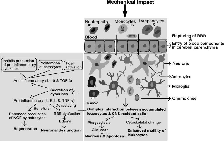 https://cdn.ncbi.nlm.nih.gov/pmc/blobs/05b8/9185786/17fcd8c49584/CN-19-1984_F3.jpg