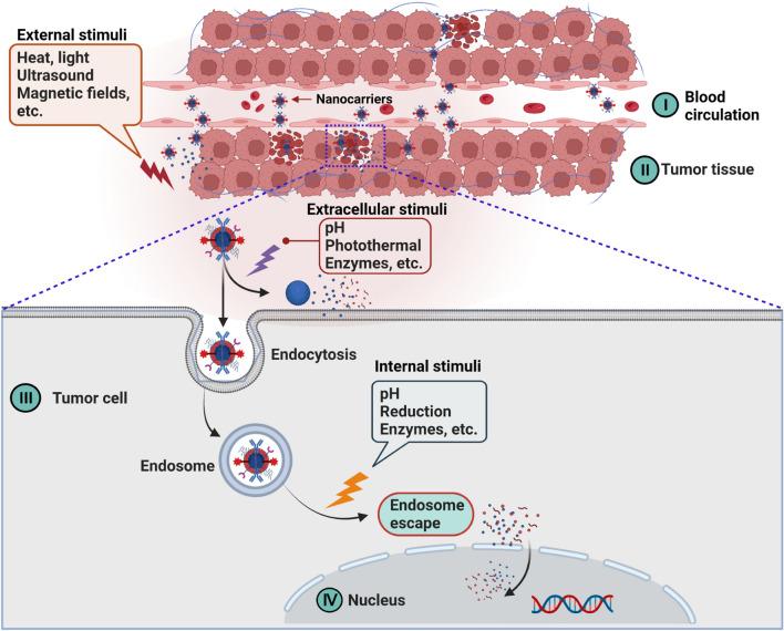 https://cdn.ncbi.nlm.nih.gov/pmc/blobs/05b9/9969656/470ada1e40de/12951_2023_1820_Fig4_HTML.jpg