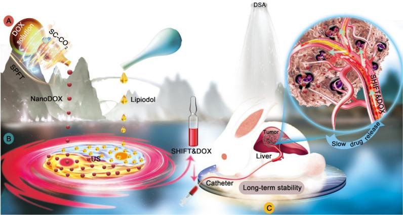 https://cdn.ncbi.nlm.nih.gov/pmc/blobs/05b9/9969656/80850f18a68e/12951_2023_1820_Fig8_HTML.jpg