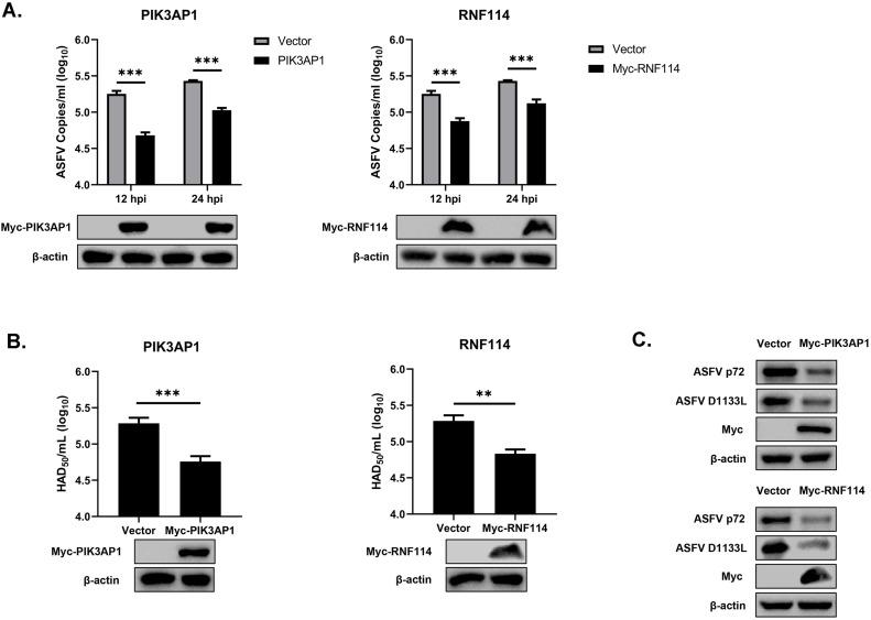 https://cdn.ncbi.nlm.nih.gov/pmc/blobs/05ba/10194354/6637315b4900/gr6.jpg