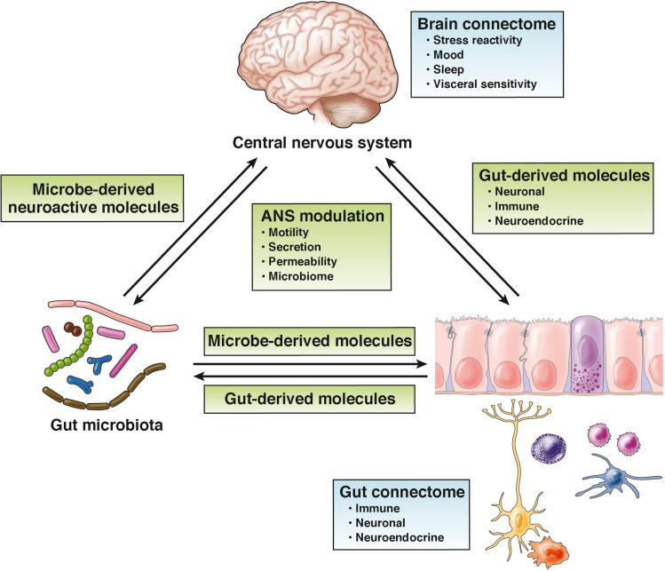 https://cdn.ncbi.nlm.nih.gov/pmc/blobs/05bc/6047317/39e93b7896e4/gr2.jpg