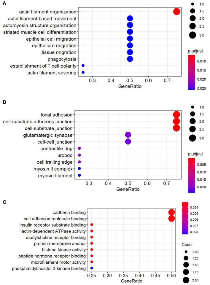 https://cdn.ncbi.nlm.nih.gov/pmc/blobs/05bc/7924221/1bbbd420f57e/fgene-11-627459-g0006.jpg