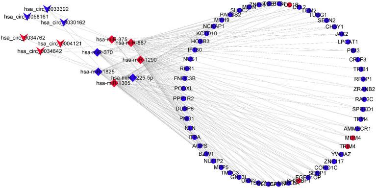 https://cdn.ncbi.nlm.nih.gov/pmc/blobs/05bc/7924221/903aa922cfc5/fgene-11-627459-g0004.jpg