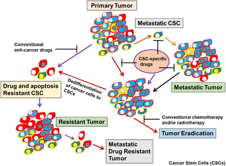 https://cdn.ncbi.nlm.nih.gov/pmc/blobs/05bd/9771762/1093ab336c97/cdr-5-4-850.fig.1.jpg
