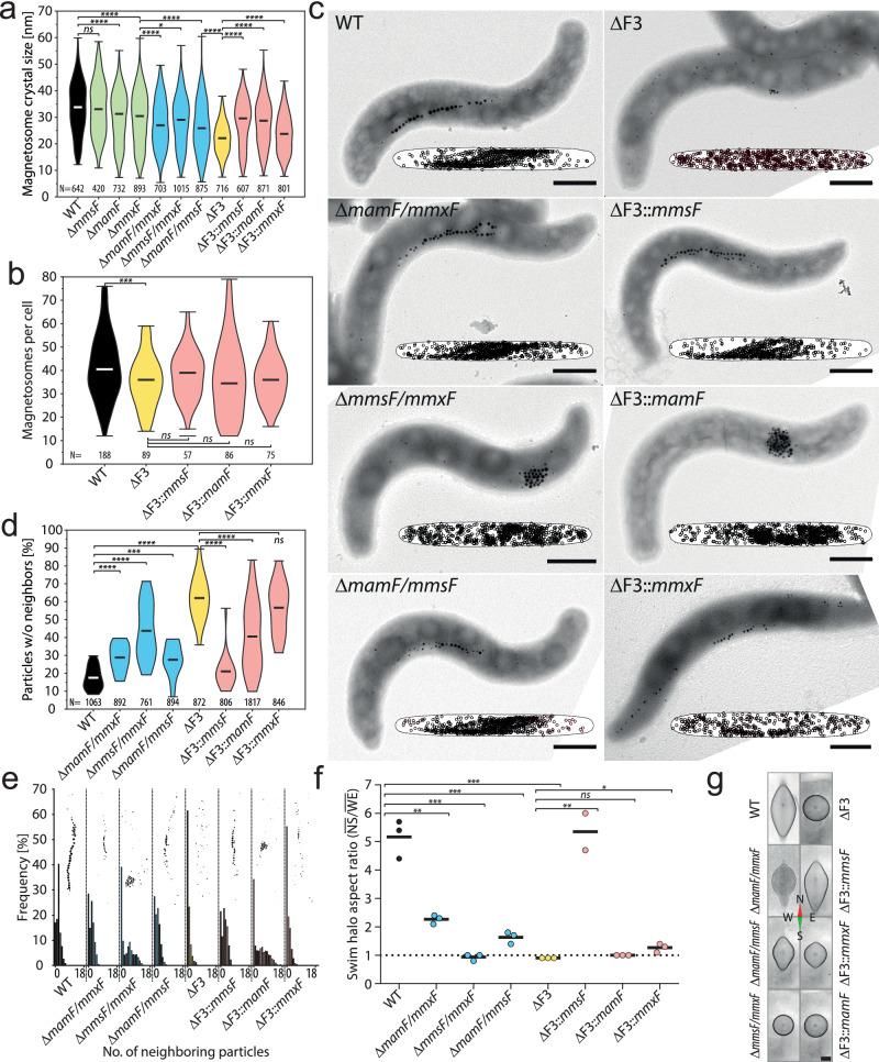 https://cdn.ncbi.nlm.nih.gov/pmc/blobs/05be/11628618/ac445c5aae7d/41467_2024_55121_Fig2_HTML.jpg