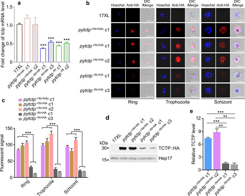 https://cdn.ncbi.nlm.nih.gov/pmc/blobs/05c0/11131223/13e954e2bd85/13071_2024_6319_Fig3_HTML.jpg