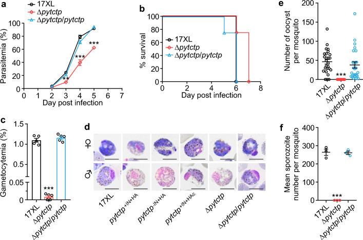 https://cdn.ncbi.nlm.nih.gov/pmc/blobs/05c0/11131223/e9deef051383/13071_2024_6319_Fig6_HTML.jpg