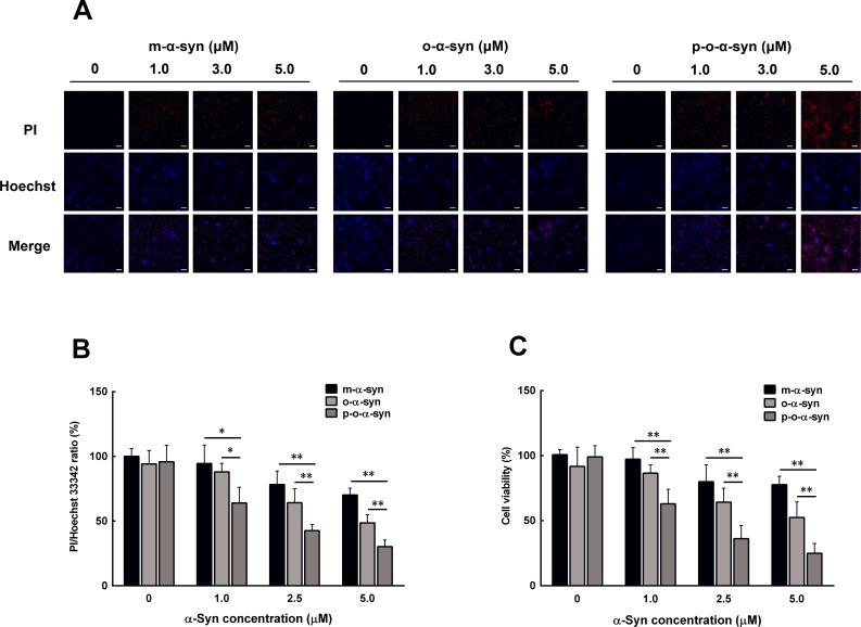 https://cdn.ncbi.nlm.nih.gov/pmc/blobs/05c0/4890980/d91a21bfb317/oncotarget-07-8466-g009.jpg
