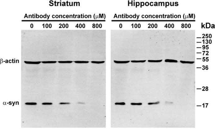 https://cdn.ncbi.nlm.nih.gov/pmc/blobs/05c0/4890980/f1765257d949/oncotarget-07-8466-g001.jpg