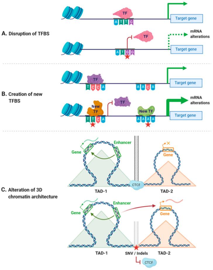 https://cdn.ncbi.nlm.nih.gov/pmc/blobs/05c0/7698069/8d926936a2ff/ijms-21-08556-g001.jpg