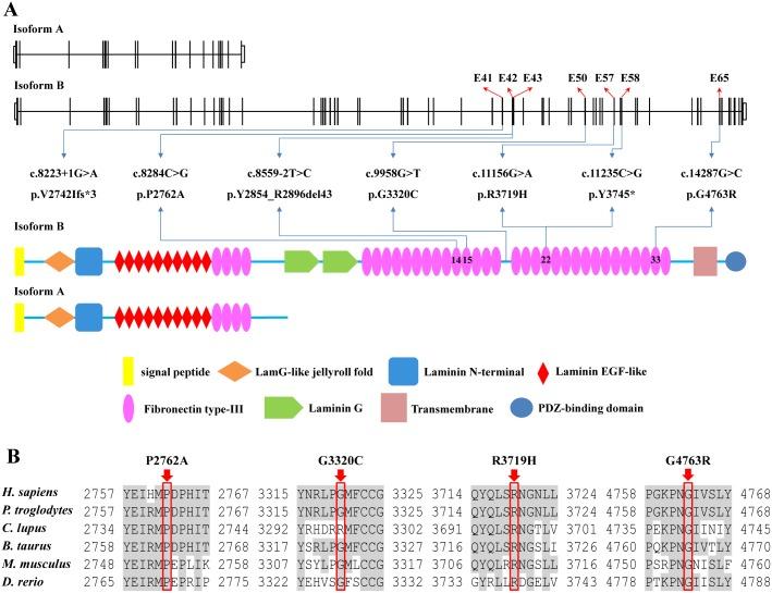 https://cdn.ncbi.nlm.nih.gov/pmc/blobs/05c1/4136877/dca6c56a2513/pone.0105439.g001.jpg