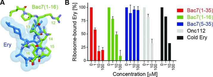 https://cdn.ncbi.nlm.nih.gov/pmc/blobs/05c2/4797285/4fab32e5fd8b/gkv1545fig3.jpg