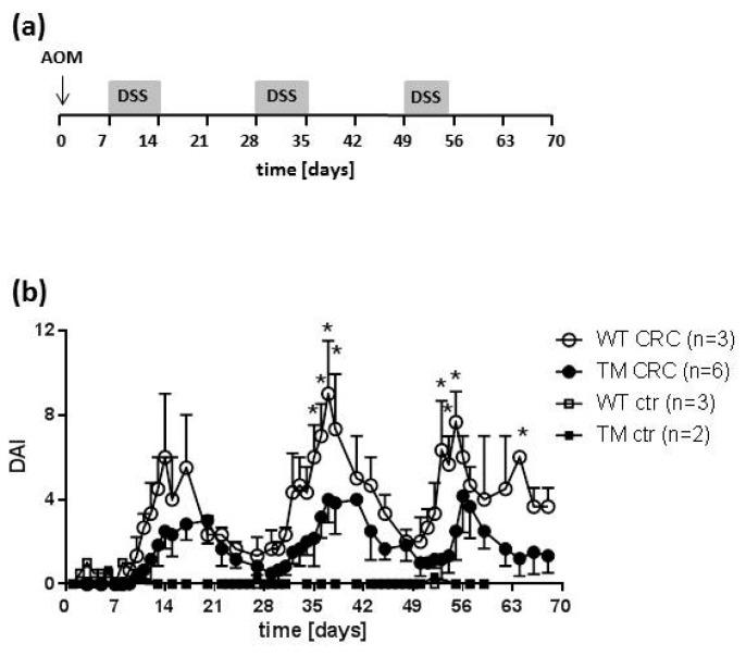 https://cdn.ncbi.nlm.nih.gov/pmc/blobs/05c2/7226035/1ff5c5eeb008/cancers-12-00912-g001.jpg