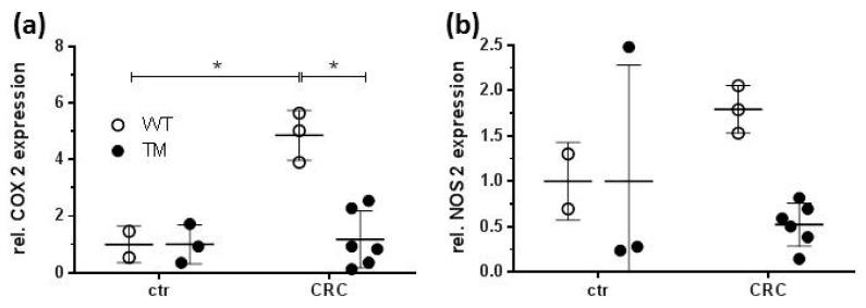 https://cdn.ncbi.nlm.nih.gov/pmc/blobs/05c2/7226035/4a4639716109/cancers-12-00912-g005.jpg