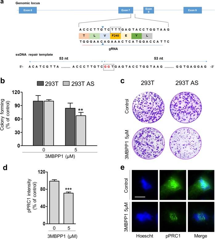 https://cdn.ncbi.nlm.nih.gov/pmc/blobs/05c4/6467995/6d887ea4566f/12276_2019_242_Fig4_HTML.jpg